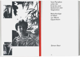 Simon Baur